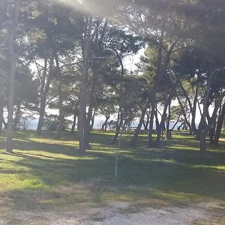 Apartman Petar Zadar